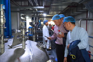 上海蜂花智能工廠投產，4億元投資驅動產業(yè)升級與互聯(lián)網銷售新布局